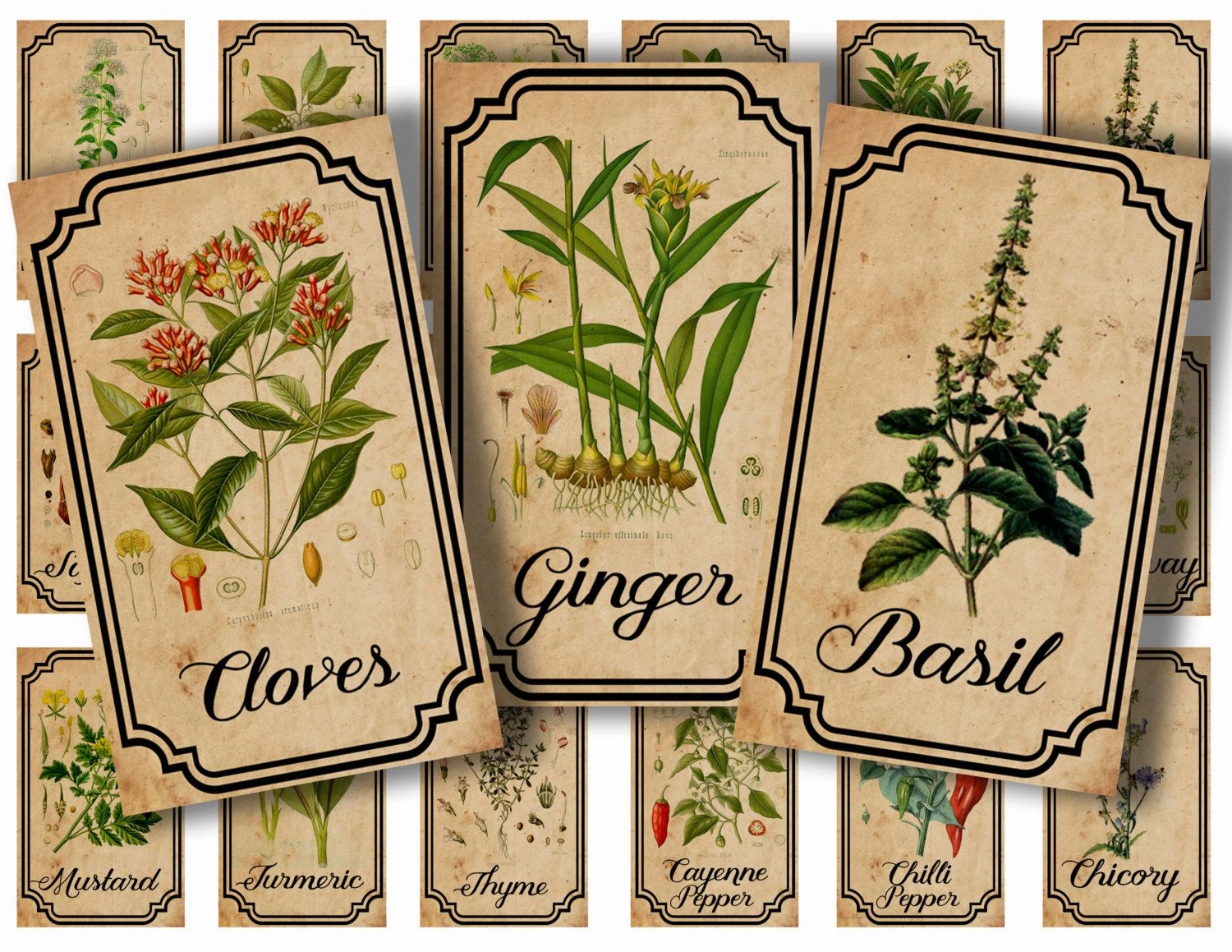 Этикетки для идентификации сортов растений